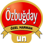 Owl Image